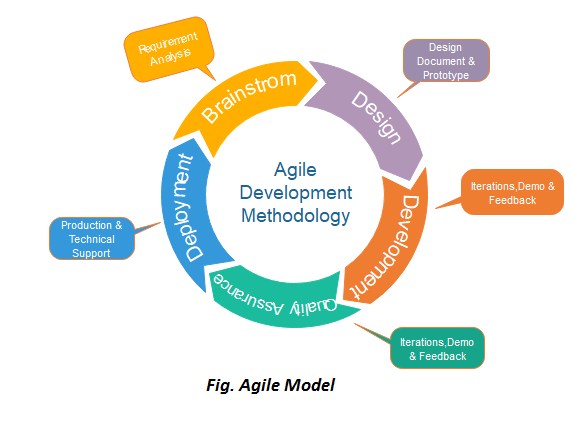 Agile model