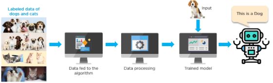 supervised learning