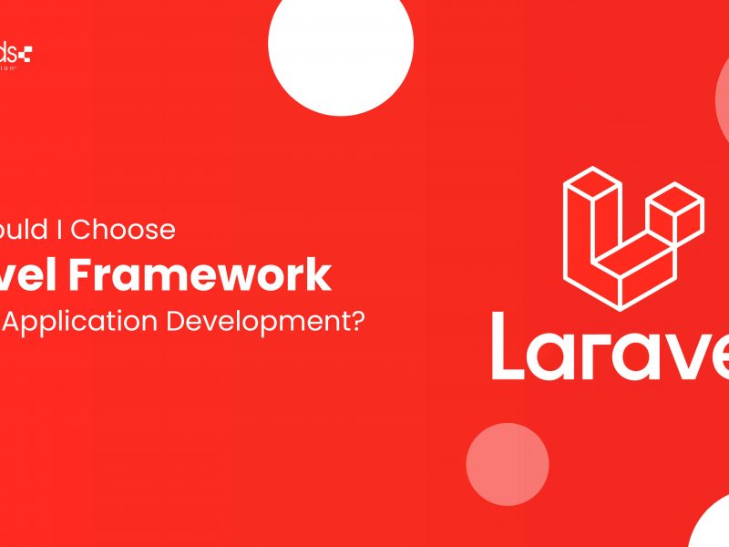 laravel framework for web application development