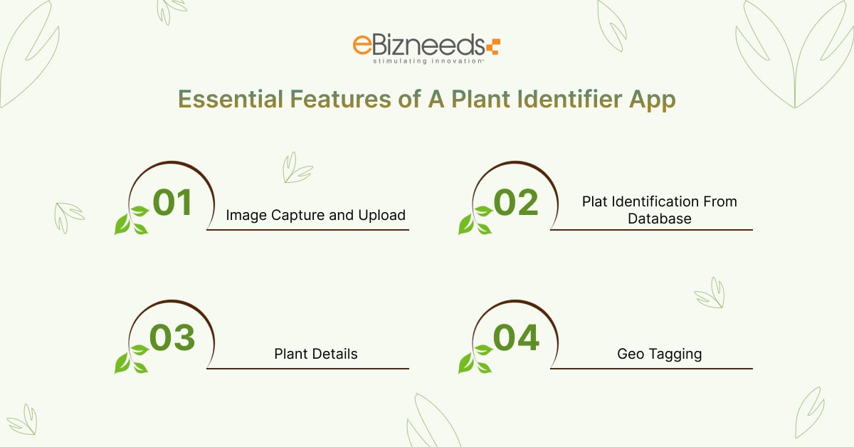 plant identifier app features