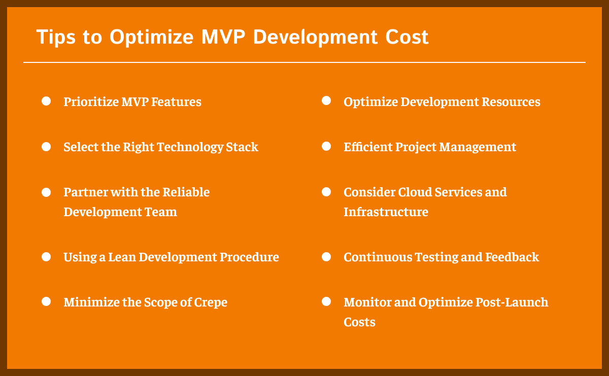 Tips to Optimize MVP Development Cost