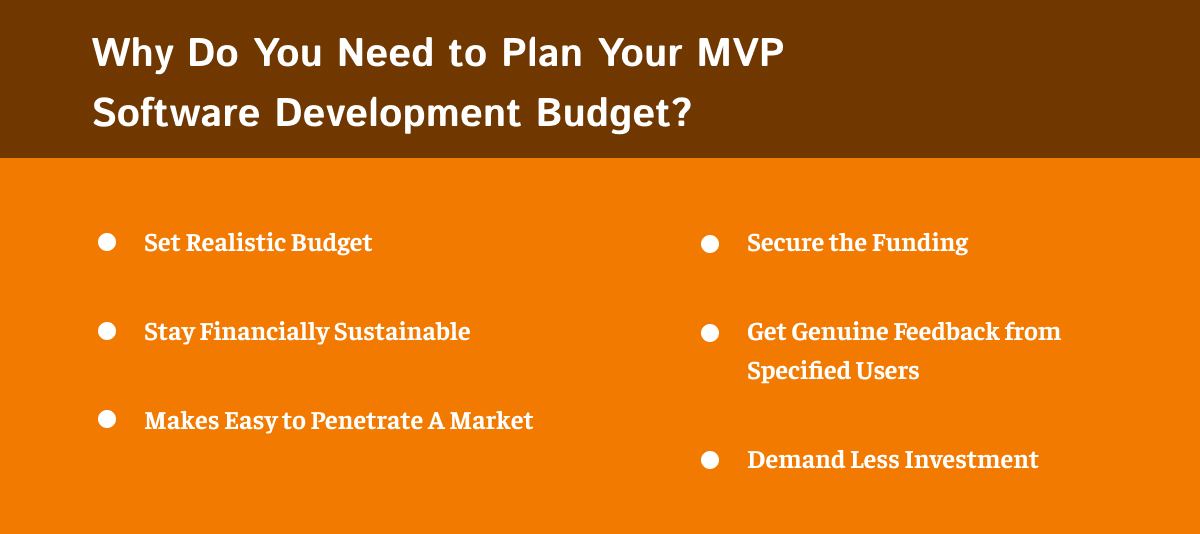 Why Do You Need to Plan Your MVP Software Development Budget?