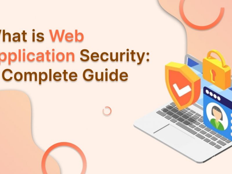 what is web application security