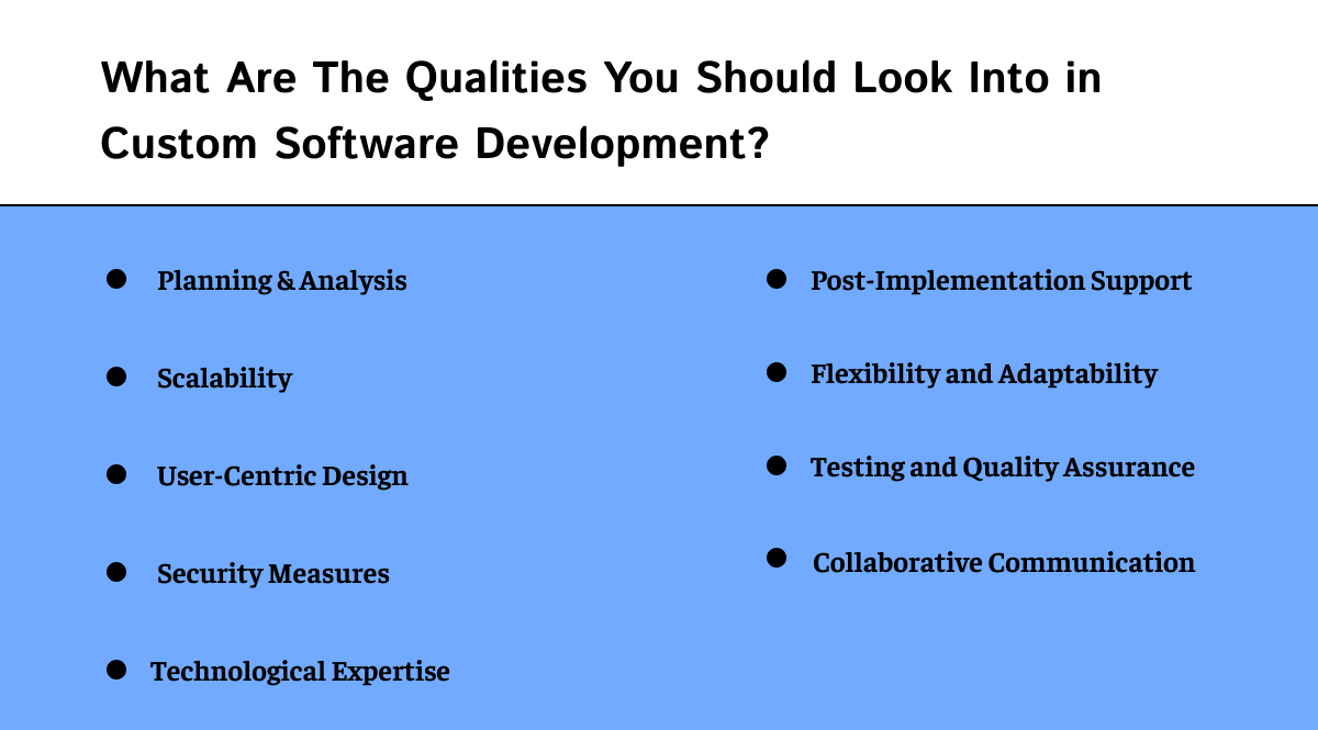 What Are The Qualities You Should Look Into in Custom Software Development?