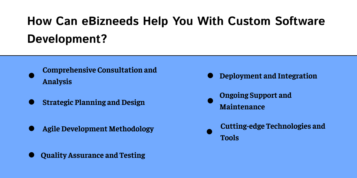 How Can eBizneeds Help You With Custom Software Development?