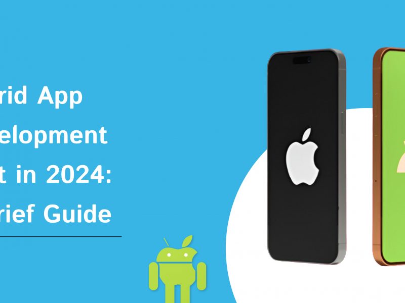 Here we will describe the factors associated with hybrid app development cost and the steps involved for a seamless application development.