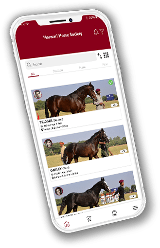 Marwari Horse Community & Trading App - eBizneeds App Development case study