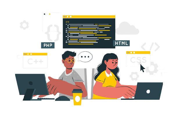 custom software development