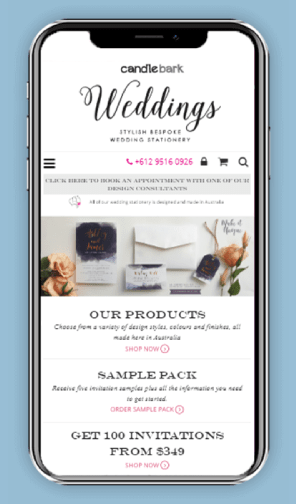 eBizneeds - Website development Case study